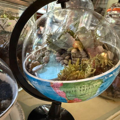 September 18 - Our Little World Terrarium